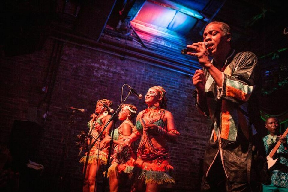 Femi Kuti Live In New York City