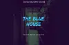 A cover of Dudu Busani-Dube\u2019s The Blue House