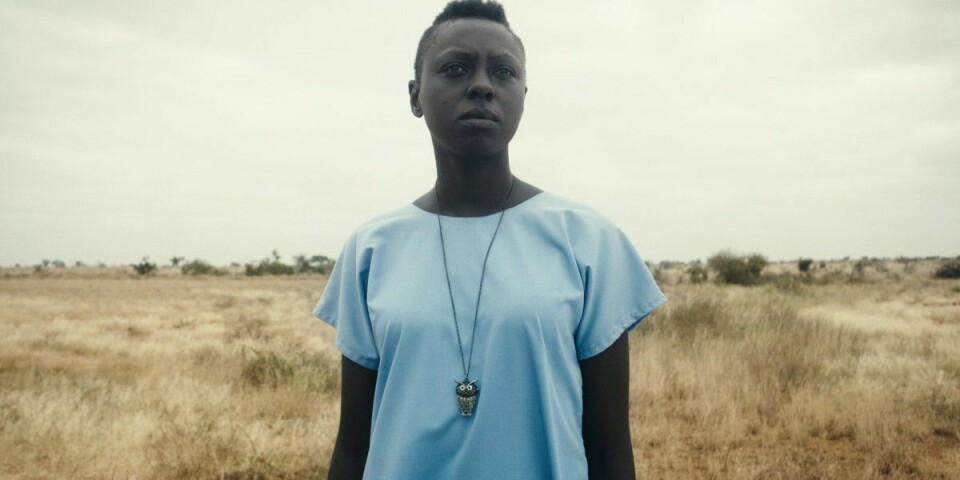 Kenyan Movie Wins Big at the Toronto International Film Festival ...