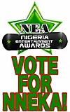 Nneka Nominated for the 5th Annual Nigerian Entertainment Awards