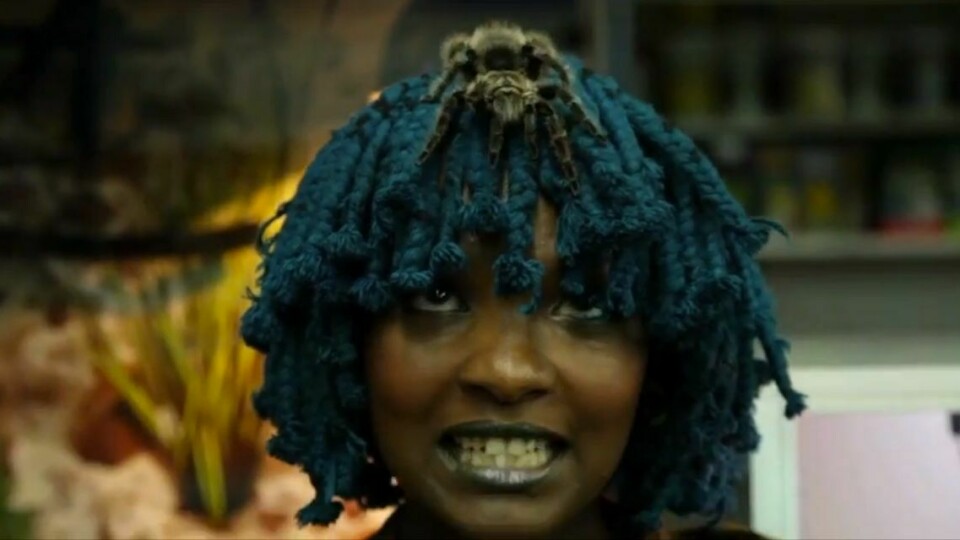 Moonchild 'Rabubi' Video Moonchild 'Rabubi' Video