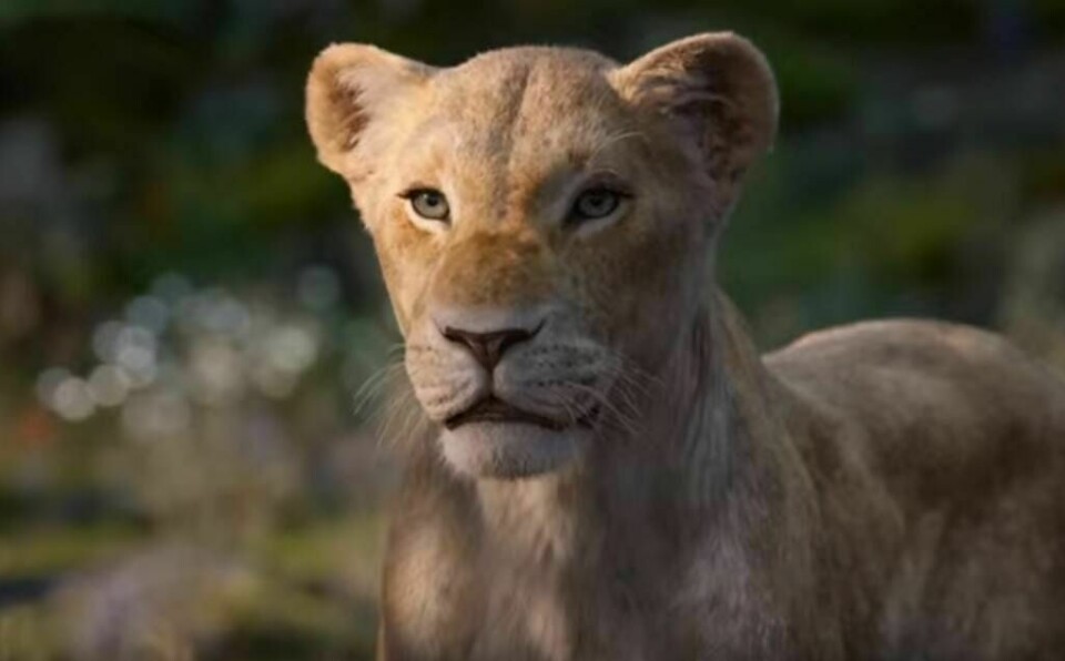 The Latest Sneak Peek from Disney's 'The Lion King' Features the One and Only Beyoncé The Latest Sneak Peek from Disney's 'The Lion King' Features the One and Only Beyoncé