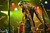 Why Nigeria and the US Are Both Corrupt: Seun Kuti Explains