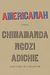 Chimamanda Ngozi Adichie Brings Her 'Americanah' Blog To Life