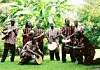 Revivalist's African Jazz Issue: Sierra Leone's Refugee Allstars