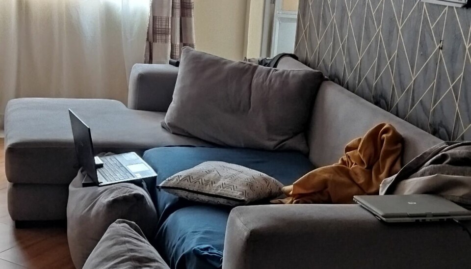 The sitting room in Geena Gichui’s first apartment, where she has slowly furnished the space. A sitting room with a gray sectional sofa, pillows, and a blanket. The room has tiled floors, patterned curtains, and a feature wall with geometric wallpaper.