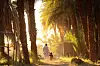 A man and a young girl are walking through a lush forest of palm trees towards a village.