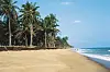 Coconut palms on the beach in Cotonou, Benin.