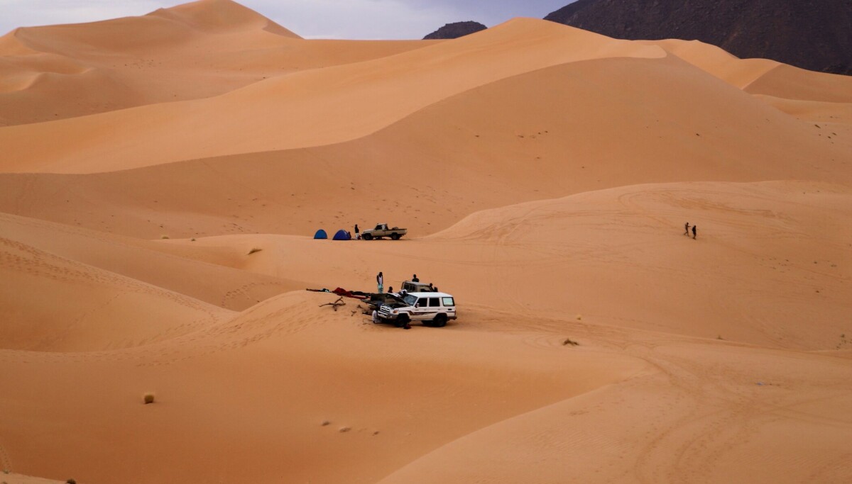 Today in Africa — June 5, 2026: WHO's $518M Ebola Plan, 49 Nigeriens Die of Thirst in Sahara Desert