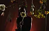 Silhouette of a person holding a flower under hanging blossoms on a dark red background.