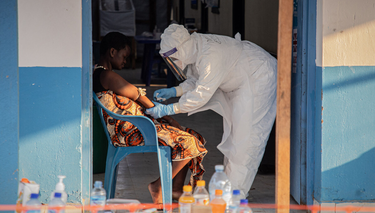 Today in Africa — August 11, 2026: DR Congo Ebola Outbreak Points to Animal-to-Human Transmission, Sudan's War Leaves 8 Million Children Out of School