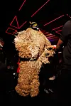 Person in a shaggy tan costume and mask standing in a dim room with red neon ceiling lights.