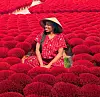 Jalisa Whitley, wearing a conical hat and a red outfit, sits smiling among rows of bright red incense bundles drying in the sun at an incense village in Vietnam.