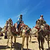 A photo showing people riding camels with clear blue skies in the background.