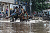 Passengers travel by horse-drawn cart through a flooded Dakar street as cars wait nearby.