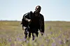 A still from “Heart Of the Hunter' showing a character walking through a field of purple flowers with a backpack.