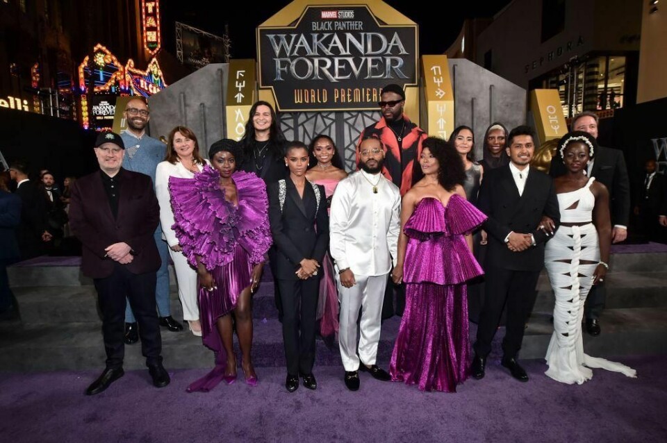 nakia pink dress wakanda forever Nakia Wakanda Forever Pink Dress