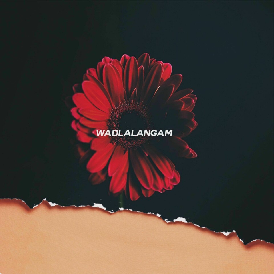 Listen to Flex Rabanyan’s Latest Addictive Single ‘Wadlala Ngam’’ Listen to Flex Rabanyan’s Latest Addictive Single ‘Wadlala Ngam’’