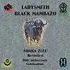 Ladysmith Black Mambazo Win Their 5th Grammy Award, But There’s a Small Problem
