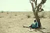 A still from Ramata-Toulaye Sy\u2019s \u2018Banel & Adama\u2019 showing a character sitting under a withered tree.