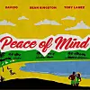 Listen to Sean Kingston, Davido & Tory Lanez' New Song 'Peace of Mind'