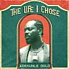Adekunle Gold The Life I chose