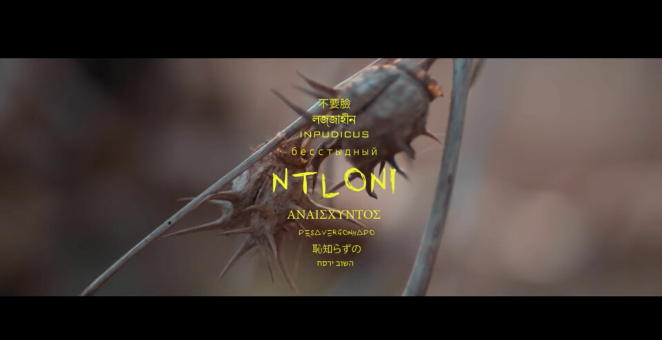 Watch Anatii’s New Music Video For ‘Ntloni’ Watch Anatii’s New Music Video For ‘Ntloni’