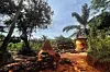 A clay termite mound-style sacred shrine surrounded by lush greenery and traditional Yoruba architecture.