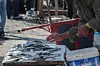 Fresh seafood for sale on Moroccan fishing harbour.