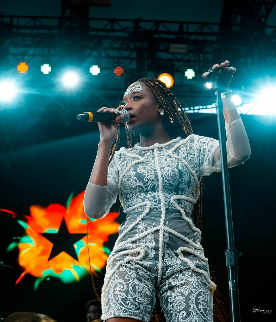 Photos: Mr Eazi, Efya and Blinky Bill Brought the Heat to SummerStage In NYC