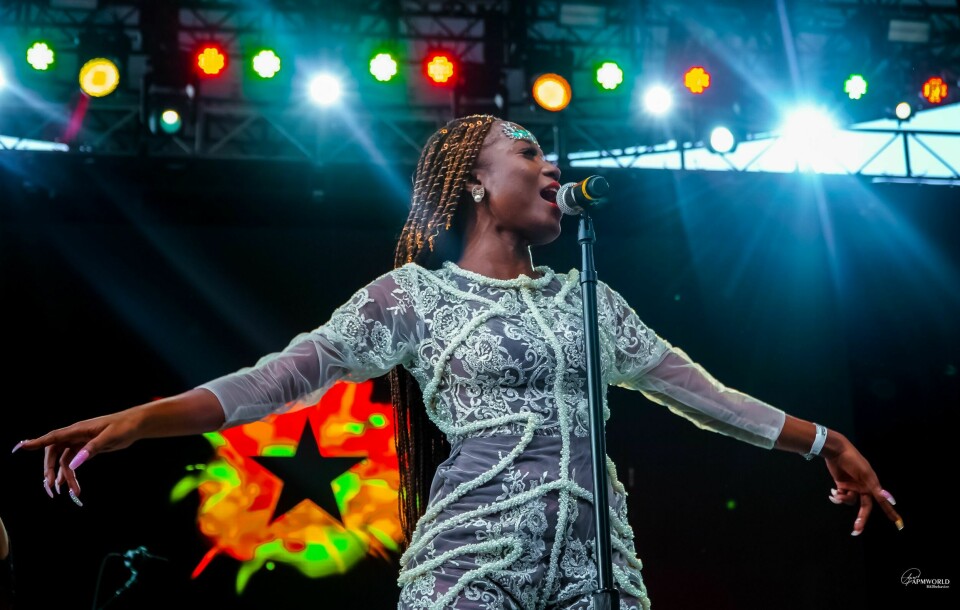Photos: Mr Eazi, Efya and Blinky Bill Brought the Heat to SummerStage In NYC
