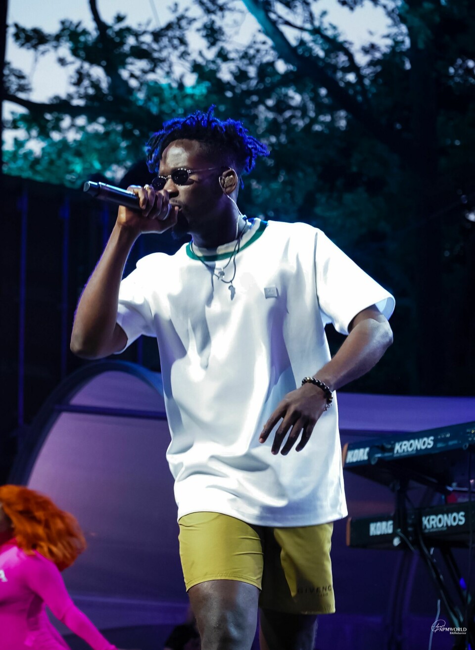 Photos: Mr Eazi, Efya and Blinky Bill Brought the Heat to SummerStage In NYC