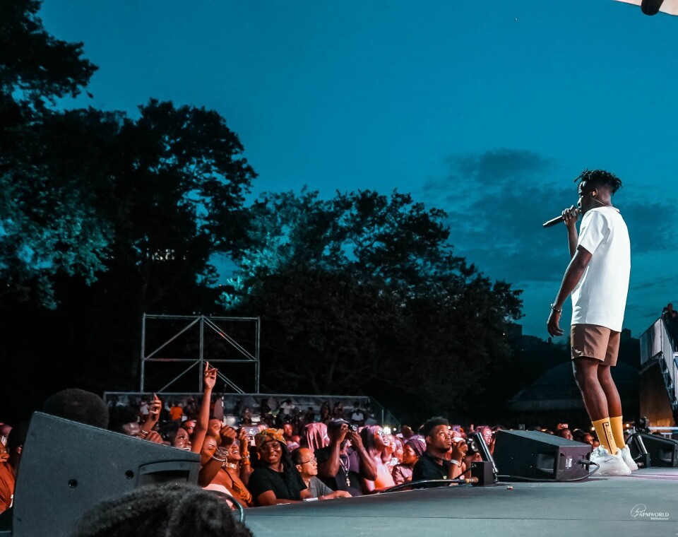 Photos: Mr Eazi, Efya and Blinky Bill Brought the Heat to SummerStage In NYC