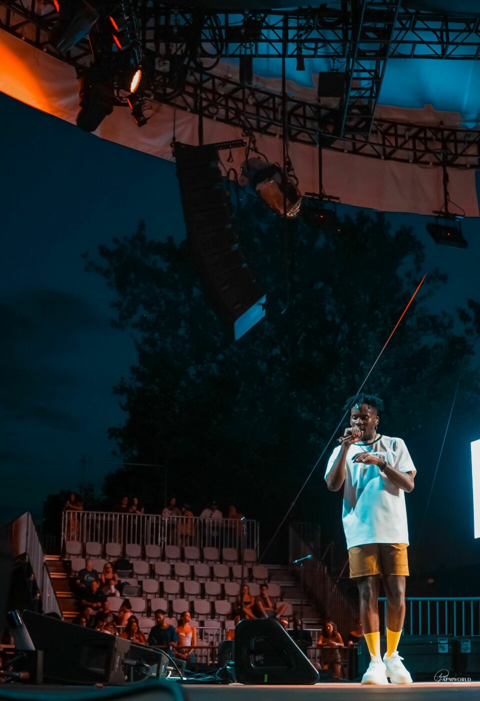 Photos: Mr Eazi, Efya and Blinky Bill Brought the Heat to SummerStage In NYC