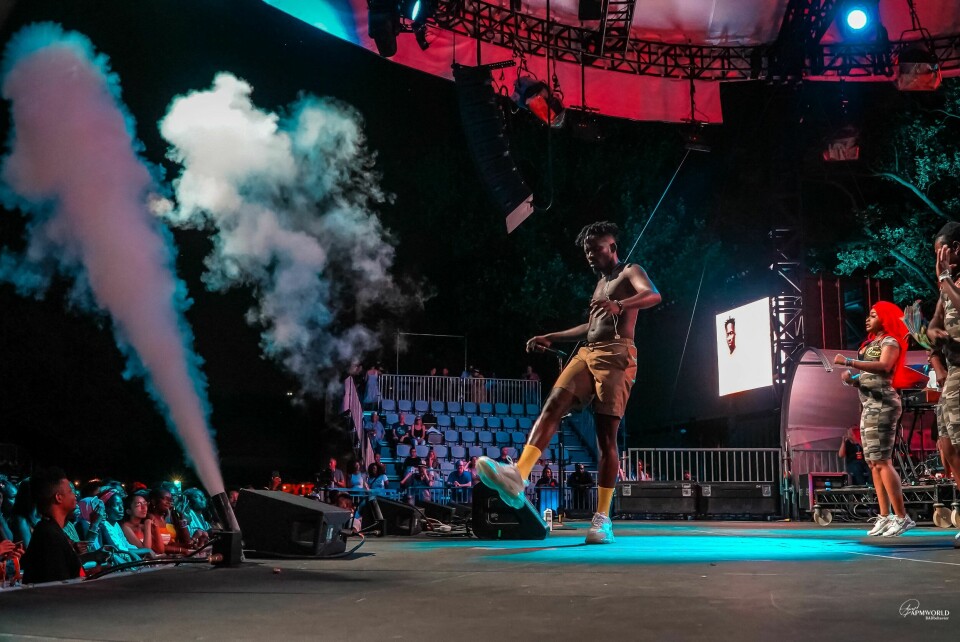 Photos: Mr Eazi, Efya and Blinky Bill Brought the Heat to SummerStage In NYC