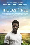 'The Last Tree' Is a Complex Exploration of the Life of a Young, British-Nigerian Man