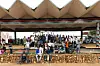 A large group of skateboarders pose with their boards on a stone platform under a shaded pavilion at Uhuru Park in Nairobi.