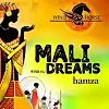 Audio: Hamza 'Mali Dreams' - India X Africa Mash-up