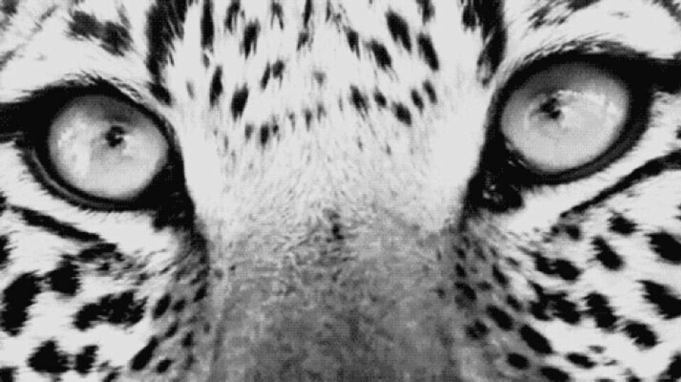 #OKAYAFRICADC This Wednesday! #OKAYAFRICADC This Wednesday!