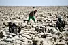 Miners digging out salt blocks by hand in the Danakil Depression on January 22, 2017 in Dallol, Ethiopia.