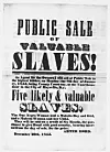 Slave auction poster pictured above.
