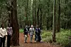 King Charles III (C) is guided by daughter of Professor Wangari Maathai, Wanjira Mathai (R) and a Government official (L) during a visit to Karura urban forest to highlight the crucial role of green spaces and forests in sustainable cities and to honour the legacy of Nobel Peace Prize winner Professor Wangari Maathai, on November 01, 2023 in Nairobi, Kenya.