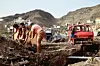 Three women dig through rubble as they try to salvage items from a house destroyed by floods in Mindelo, on August 13, 2025. A young boy resting on a partially destroyed red bus stands behind them.